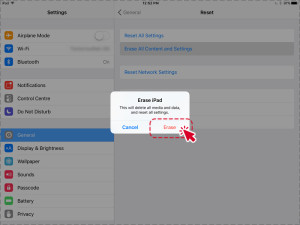 Confirm Erase WipeDevice_03